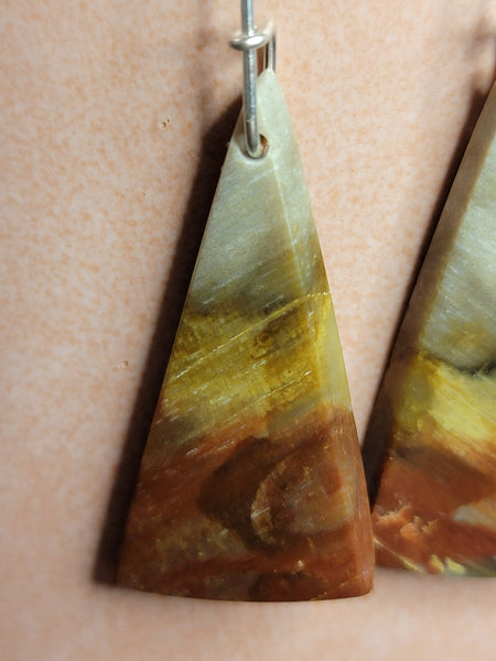 Peteified Wood triangle earrings