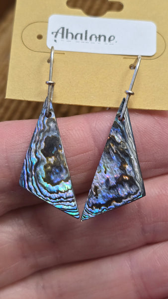 Abalone shell earrings