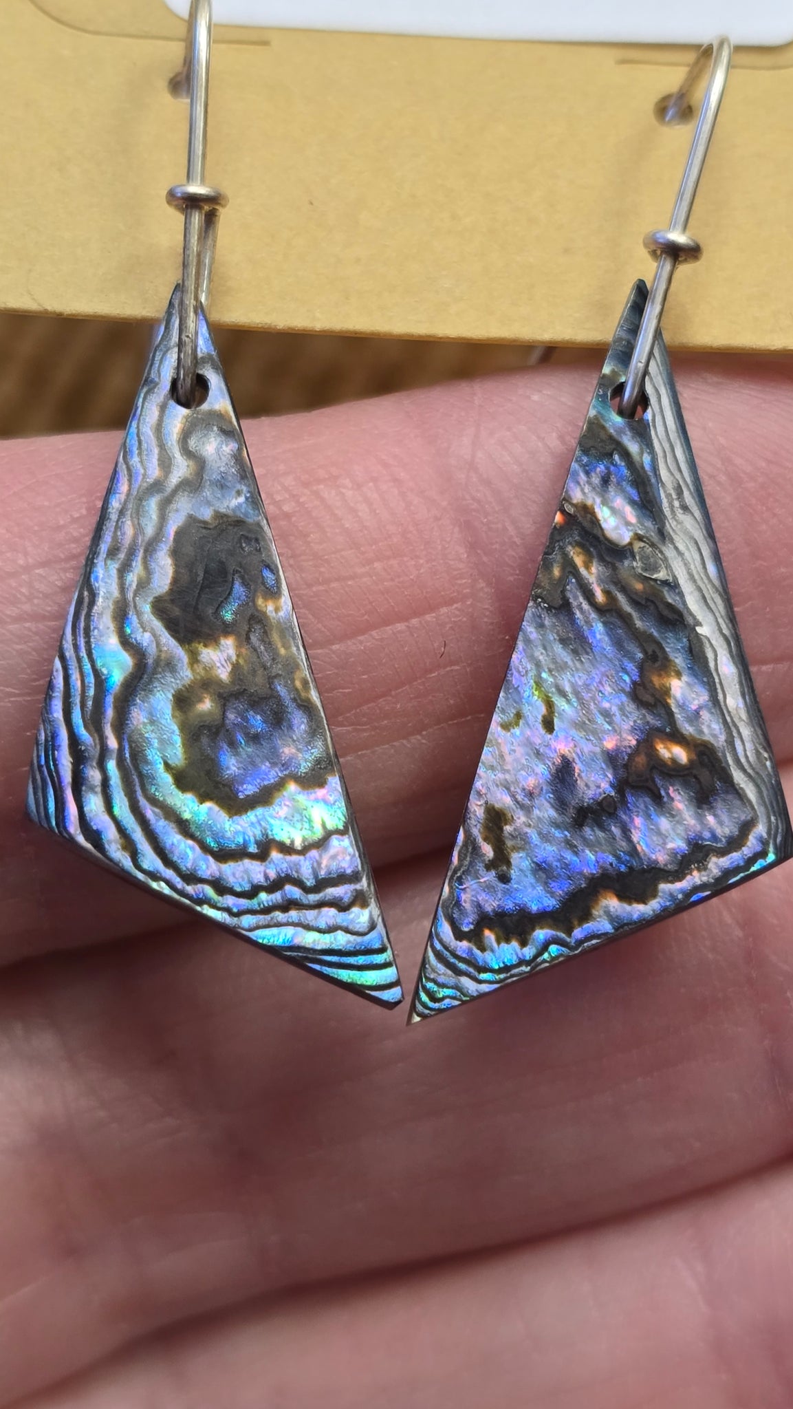 Abalone shell earrings
