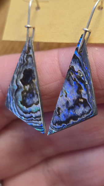 Abalone shell earrings