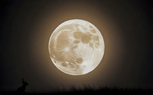 Luna