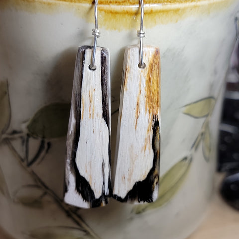 Petrified wood earrings
