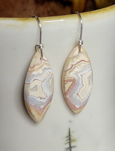 Crazy Lace Agate Earrings