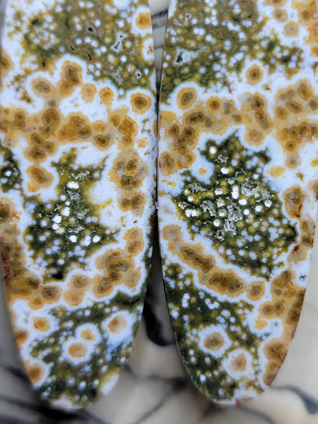 Ocean jasper earrings