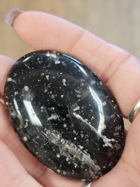 RARE Galaxy Obsidian Palm Stone