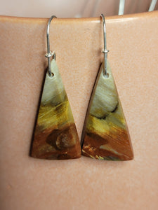 Peteified Wood triangle earrings