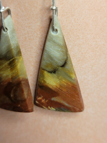 Peteified Wood triangle earrings