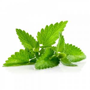 Spearmint