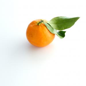 Tangerine